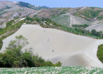 Terreno edificabile Castel San Pietro Terme - foto 1