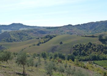 Terreno edificabile Castel San Pietro Terme - foto 2