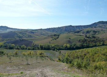Terreno edificabile Castel San Pietro Terme - foto 4