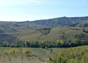 Terreno edificabile Castel San Pietro Terme - foto 5