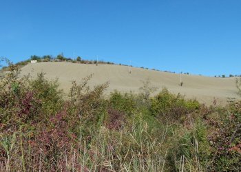 Terreno edificabile Castel San Pietro Terme - foto 6