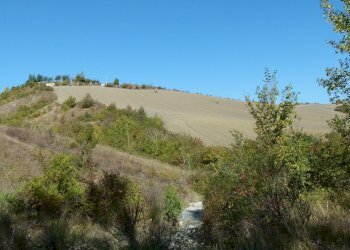 Terreno edificabile Castel San Pietro Terme - foto 7