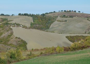 Terreno edificabile Castel San Pietro Terme - foto 8