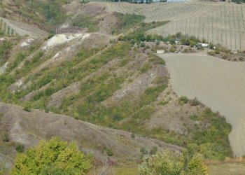Terreno edificabile Castel San Pietro Terme - foto 10