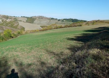 Terreno edificabile Castel San Pietro Terme - foto 11