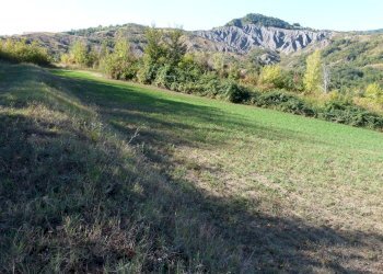 Terreno edificabile Castel San Pietro Terme - foto 12