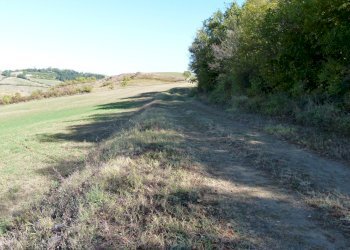 Terreno edificabile Castel San Pietro Terme - foto 14