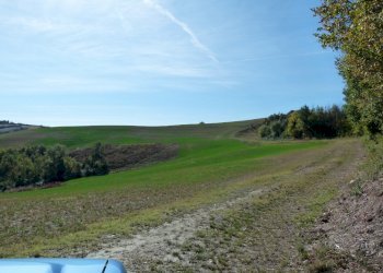 Terreno edificabile Castel San Pietro Terme - foto 15