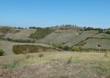 Terreno edificabile Castel San Pietro Terme - foto 16