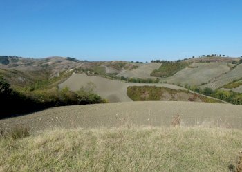 Terreno edificabile Castel San Pietro Terme - foto 17