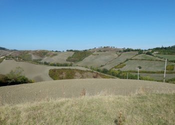 Terreno edificabile Castel San Pietro Terme - foto 18