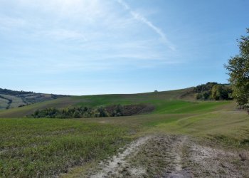 Terreno edificabile Castel San Pietro Terme - foto 19
