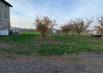 Casa Colonica Castel San Pietro Terme - foto 6