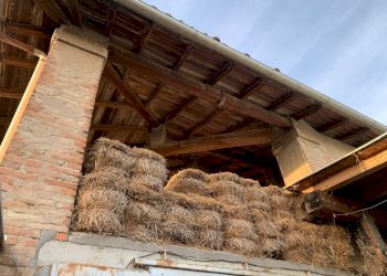 Casa Colonica Castel San Pietro Terme - foto 8