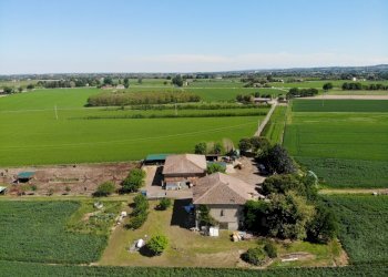 Casa Colonica Castel San Pietro Terme - foto 12