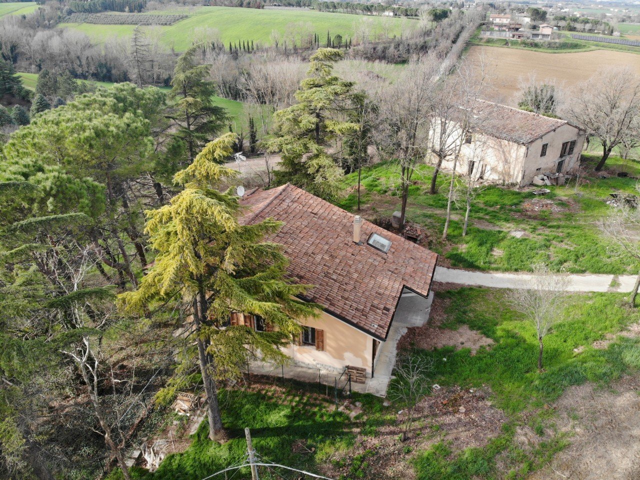Villa Unifamiliare Dozza - foto 1