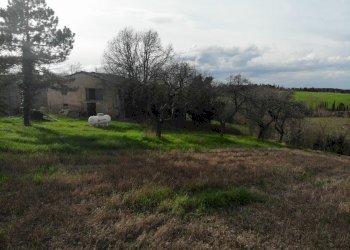 Single Family Villa Dozza - photo 39