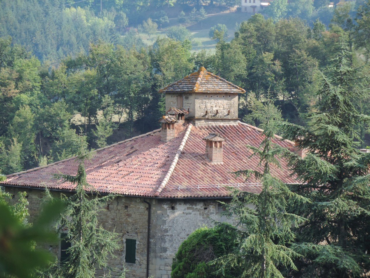 Villa Unifamiliare Castel del Rio - foto 3