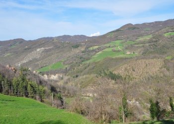 Villa Unifamiliare Castel del Rio - foto 6