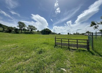 Casa indipendente Castel San Pietro Terme - foto 5