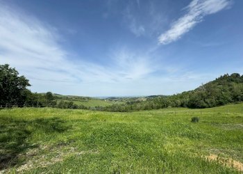 Casa indipendente Castel San Pietro Terme - foto 6