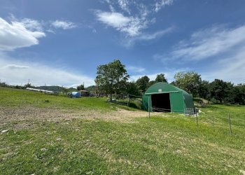 Casa indipendente Castel San Pietro Terme - foto 8