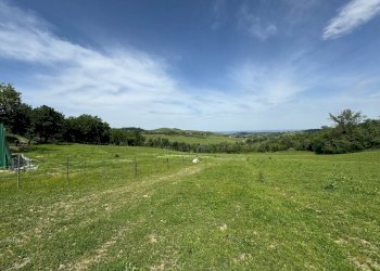 Casa indipendente Castel San Pietro Terme - foto 10