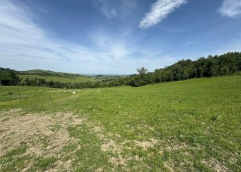 Casa indipendente Castel San Pietro Terme - foto 11