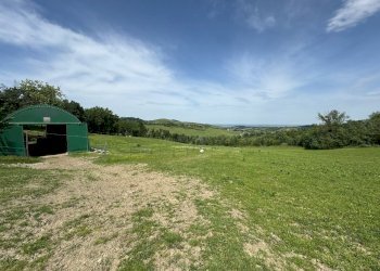 Casa indipendente Castel San Pietro Terme - foto 12