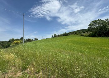 Casa indipendente Castel San Pietro Terme - foto 14