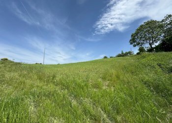Casa indipendente Castel San Pietro Terme - foto 15