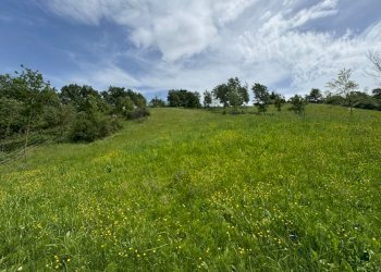 Casa indipendente Castel San Pietro Terme - foto 16
