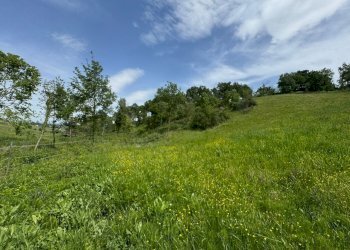Casa indipendente Castel San Pietro Terme - foto 17