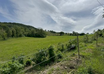 Casa indipendente Castel San Pietro Terme - foto 18