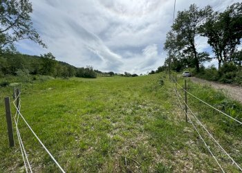 Casa indipendente Castel San Pietro Terme - foto 19