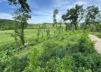 Casa indipendente Castel San Pietro Terme - foto 20