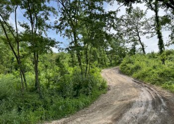 Casa indipendente Castel San Pietro Terme - foto 22