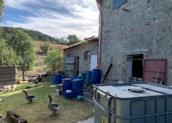 Casa indipendente Castel San Pietro Terme - foto 28