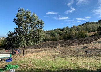 Casa indipendente Castel San Pietro Terme - foto 29