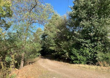 Casa indipendente Castel San Pietro Terme - foto 30