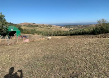 Casa indipendente Castel San Pietro Terme - foto 32