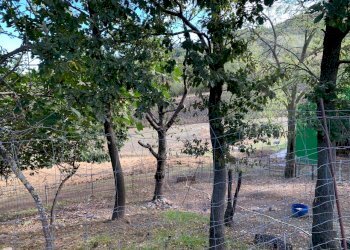 Casa indipendente Castel San Pietro Terme - foto 40