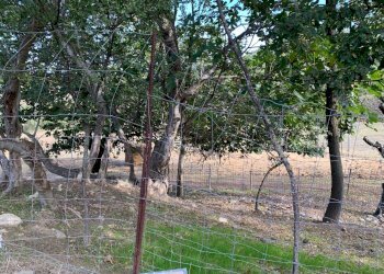 Casa indipendente Castel San Pietro Terme - foto 44