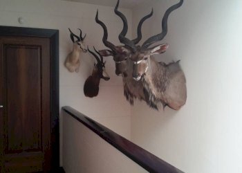 Porzione di casa Bastiglia - foto 9