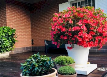 Porzione di casa Bastiglia - foto 10