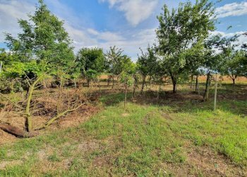 Independent house Bomporto - photo 13