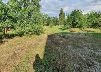 Independent house Bomporto - photo 14