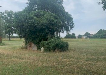 Independent house Bomporto - photo 7