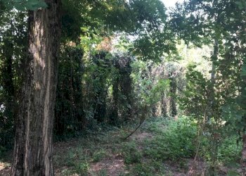 Single Family Villa Formigine - photo 8