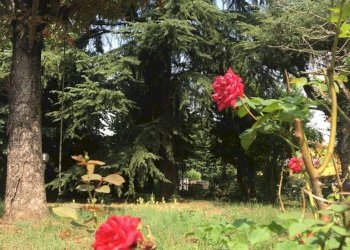 Single Family Villa Formigine - photo 15